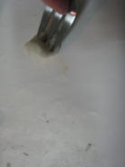 e0033301_10582148.jpg