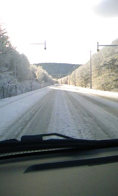 f0032403_7202024.jpg