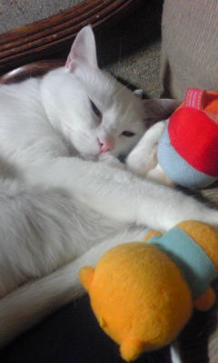 c0180209_20114615.jpg