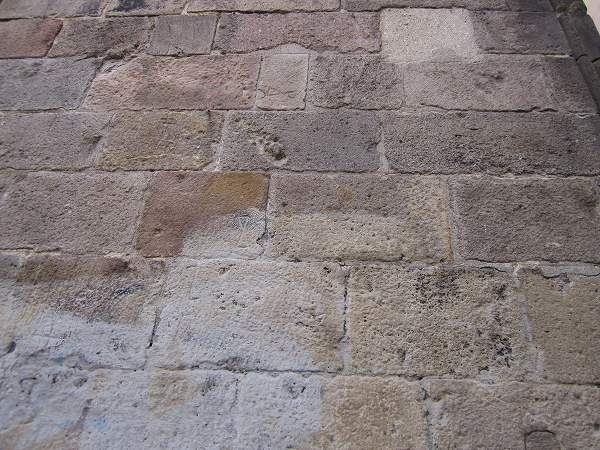 b0064411_4574668.jpg