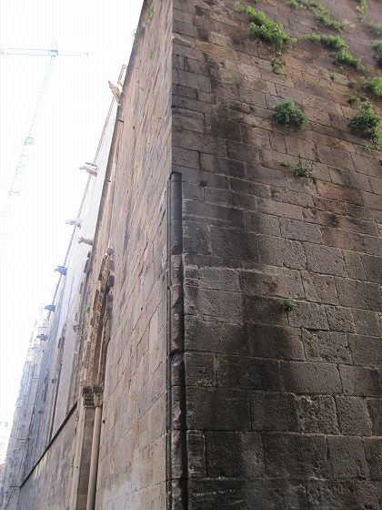 b0064411_531349.jpg