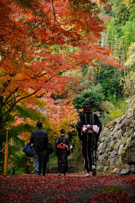 2009･京都の紅葉　金蔵寺_f0032011_18501855.jpg