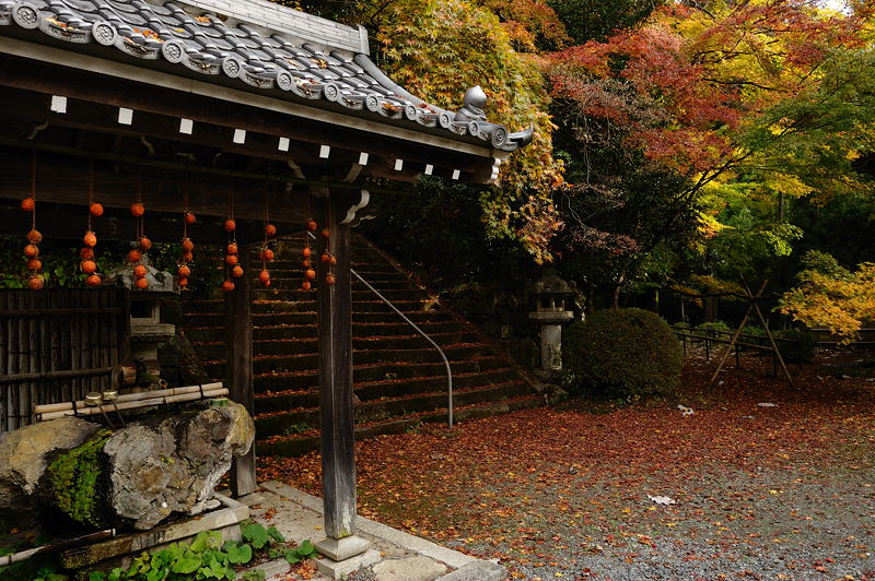 2009･京都の紅葉　金蔵寺_f0032011_18515761.jpg