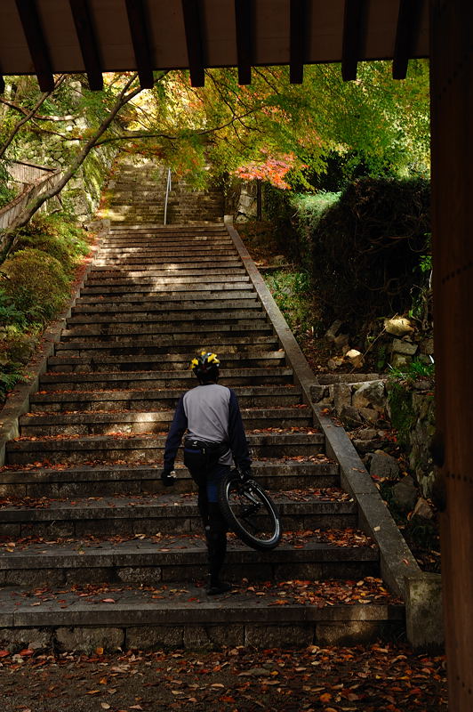 2009･京都の紅葉　金蔵寺_f0032011_18531997.jpg