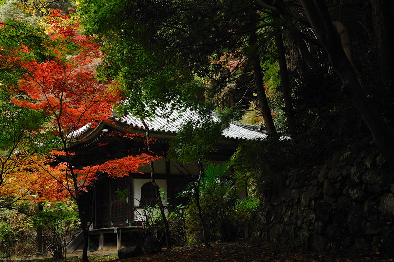 2009･京都の紅葉　金蔵寺_f0032011_1853284.jpg