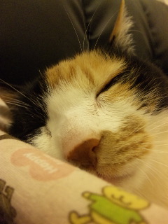 c0201113_21565996.jpg