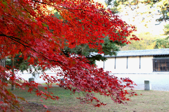 京都御所_e0048413_2213352.jpg