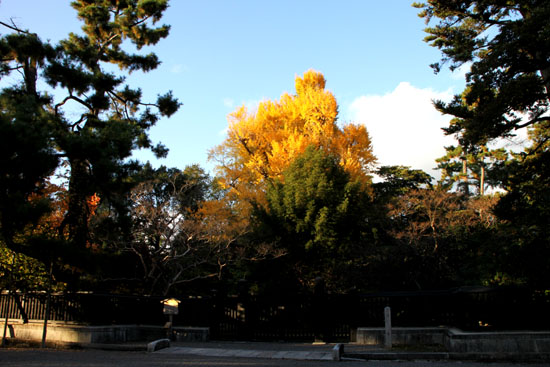 京都御所_e0048413_2215140.jpg