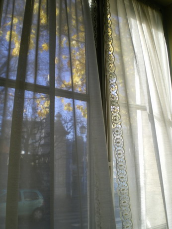 c0124619_202664.jpg