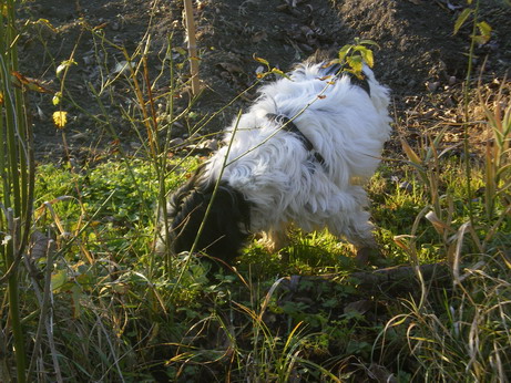 c0124619_224746.jpg