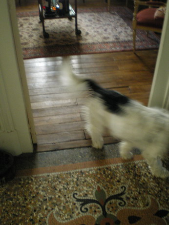 c0124619_26464.jpg