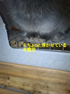 メイたん脱臼 メイたんと私のちょっとイイ関係 メイたん脱臼 メイたんと私のちょっとイイ関係