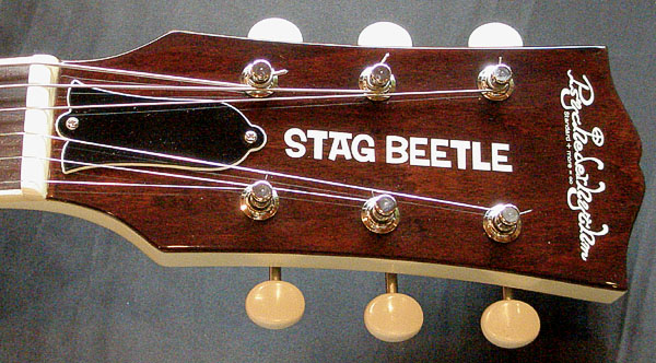6本目の「STAG BEETLE」が完成!_e0053731_20545045.jpg