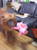 e0029132_2342826.jpg