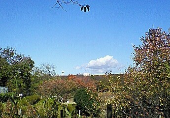 f0161834_942862.jpg