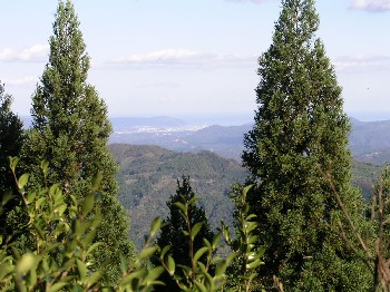 d0009738_714978.jpg