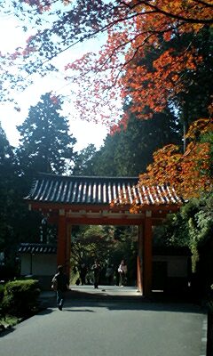 三室戸寺の紅葉_d0020139_13274351.jpg