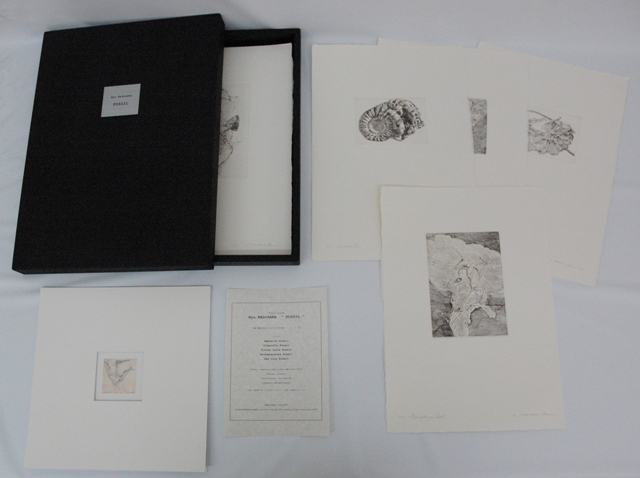 SHINOBAZU GALLERY …EDITION