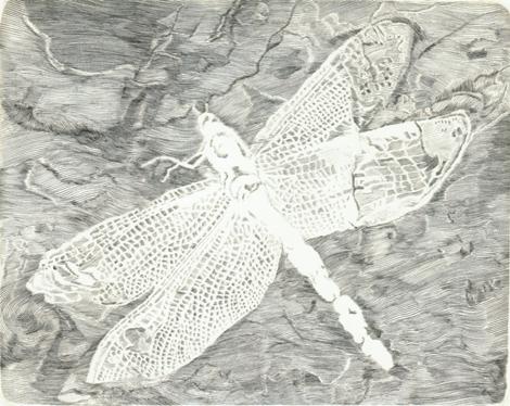 SHINOBAZU GALLERY …EDITION