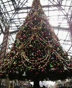 f0082052_13211151.jpg