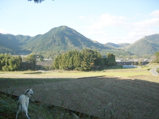 今日も、第二の田舎に帰省中_f0043559_110628.jpg