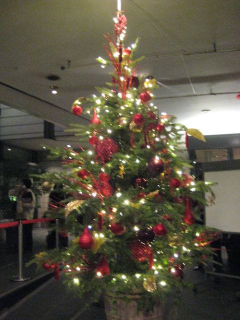 e0116960_0455229.jpg