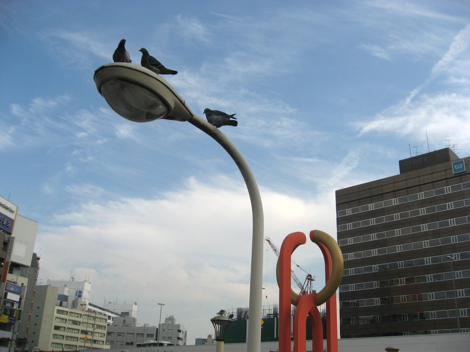c0084862_11318.jpg