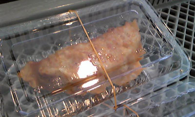 c0080367_1215043.jpg