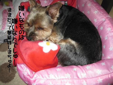 グリンピースを残す犬 Go Go ロビジャス グリンピースを残す犬 Go Go ロビジャス