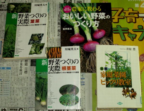野菜栽培の本 中生玉葱はマルチはしない方が良い 市民農園の近況 ブルーベリーの育て方 栽培 ブルーベリー ノート Blueberrynote