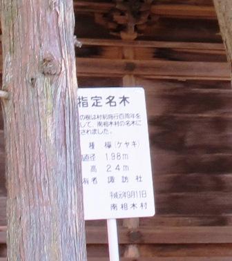 a0091680_1727267.jpg