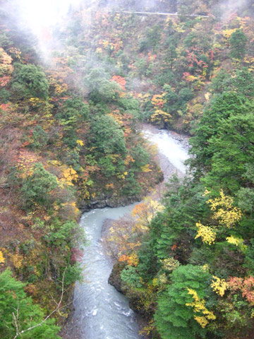 南アルプスの秘境・寸又峡へ　Part2_f0110488_1626451.jpg