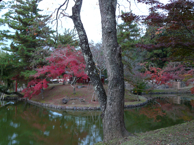 大仏殿と紅葉_b0008289_20121929.jpg