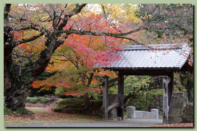 金沢城公園~小立野_f0079990_10331683.jpg