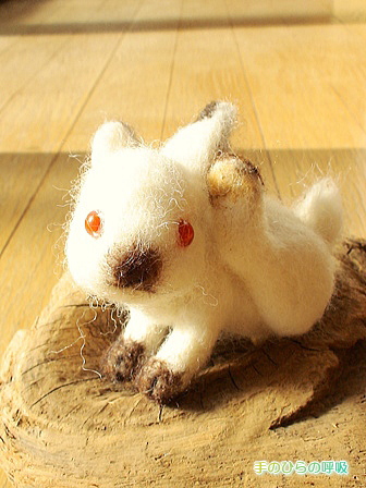 ヒマラヤンカラーのうさぎ 手のひらの呼吸 ヒマラヤンカラーのうさぎ 手のひらの呼吸