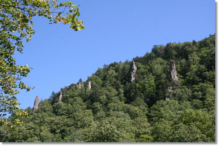 f0146493_20472178.jpg