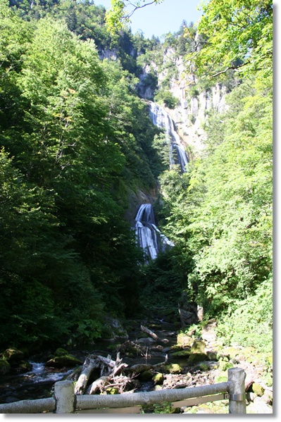 f0146493_2048748.jpg