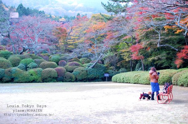 箱根の紅求めて蓬莱園_c0224799_192331.jpg