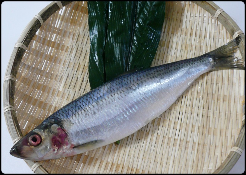 今日の魚 ニシン 魚と野菜と私と和ノ香