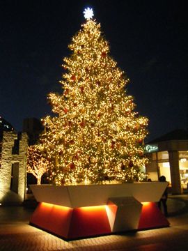 f0120102_12512135.jpg