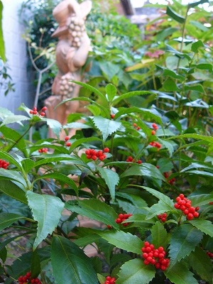 a0123003_20451548.jpg
