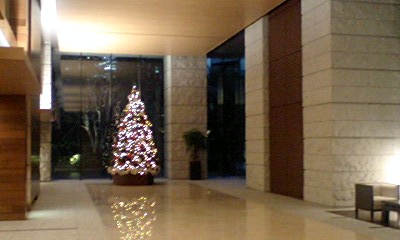 マイホーム買換の譲渡損の救済制度、そしてクリスマスツリー_d0054704_0215715.jpg