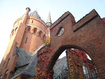 e0149604_8294668.jpg