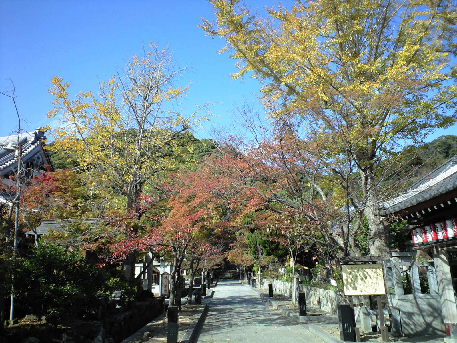f0195505_18075.jpg