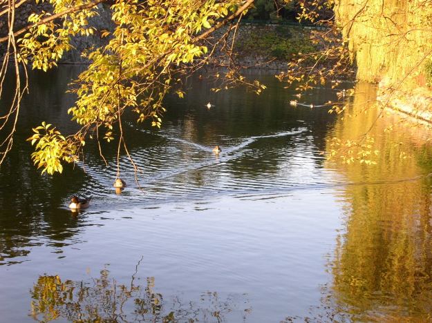 c0152507_8311021.jpg