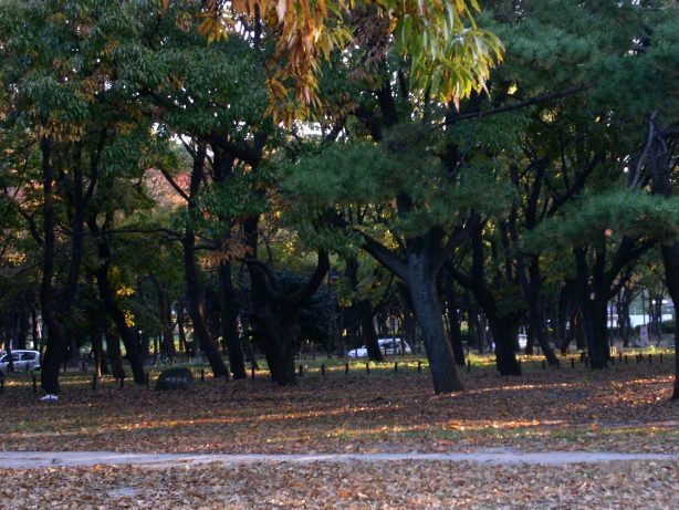 c0152507_833832.jpg