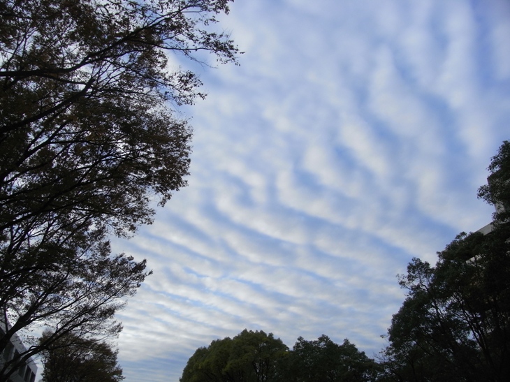 b0137208_20343072.jpg