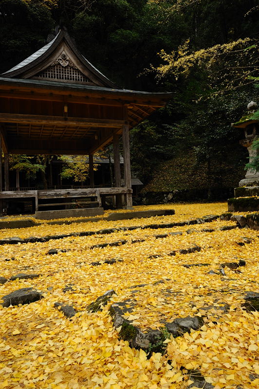 2009・京都の紅葉 岩戸落葉神社_f0032011_199075.jpg