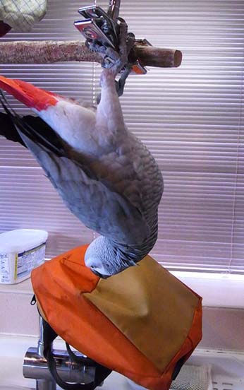 c0133013_2013675.jpg