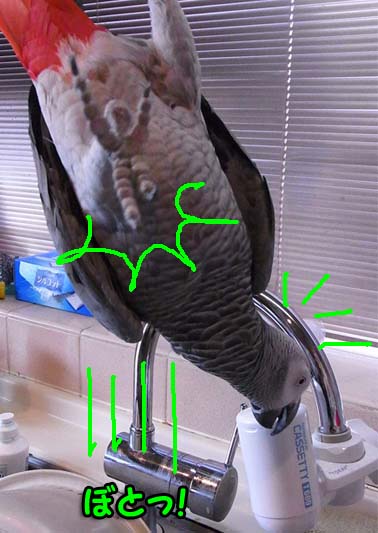 c0133013_2085027.jpg